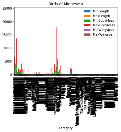 A bar chart comparing quantities across categories