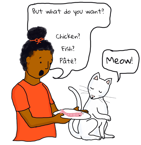 An illustration of the challenge of true language comprehension by machines